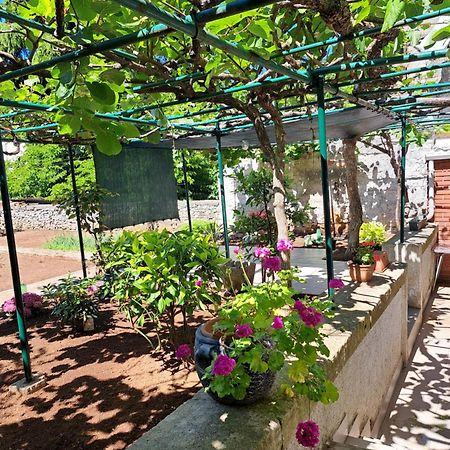 Apartment Luana Пула Екстериор снимка